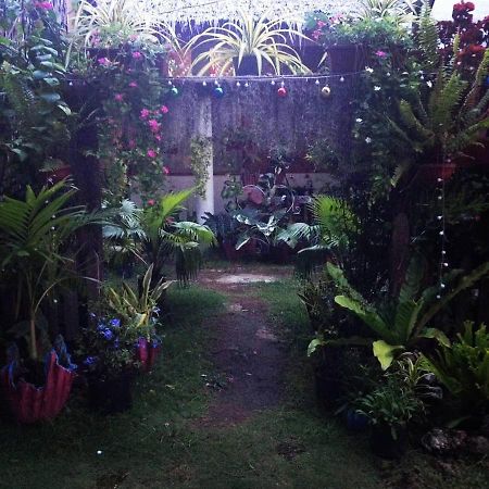Shukran Apartelle Siquijor Exteriér fotografie
